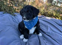 processed/df47fc65-9f16-46bb-acfd-d39f3a761d65/listing/b51de949-be89-4b10-8058-b10539513233/ac3b876c-4128-4c8c-875d-293e037097a5