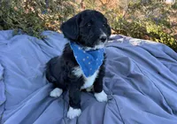 processed/df47fc65-9f16-46bb-acfd-d39f3a761d65/listing/b51de949-be89-4b10-8058-b10539513233/c4e805db-8757-405c-931b-a5dc64138432