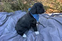 processed/df47fc65-9f16-46bb-acfd-d39f3a761d65/listing/b51de949-be89-4b10-8058-b10539513233/c803e83a-a1b9-475c-aa1f-e7928ee2452d