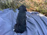 processed/df47fc65-9f16-46bb-acfd-d39f3a761d65/listing/b51de949-be89-4b10-8058-b10539513233/f2eaa312-ad23-4847-bdbd-97abffadb4be