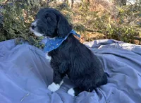 processed/df47fc65-9f16-46bb-acfd-d39f3a761d65/listing/b51de949-be89-4b10-8058-b10539513233/f5a523bb-20bf-43d9-9668-70e26229e55e