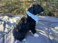 processed/df47fc65-9f16-46bb-acfd-d39f3a761d65/listing/d949380c-704d-4f10-9306-904d7beb48ee/04e1a588-e3a8-494b-93fe-7a2dd929f643