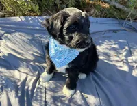 processed/df47fc65-9f16-46bb-acfd-d39f3a761d65/listing/d949380c-704d-4f10-9306-904d7beb48ee/0afbdf54-c45f-4d94-8073-b572bb4760bd