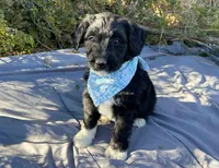 processed/df47fc65-9f16-46bb-acfd-d39f3a761d65/listing/d949380c-704d-4f10-9306-904d7beb48ee/5c465f61-bd94-4d46-8219-597e8ac25791