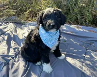 processed/df47fc65-9f16-46bb-acfd-d39f3a761d65/listing/d949380c-704d-4f10-9306-904d7beb48ee/a457ff1e-eddb-4681-ba00-4b6ef3926ebf