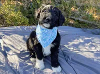 processed/df47fc65-9f16-46bb-acfd-d39f3a761d65/listing/d949380c-704d-4f10-9306-904d7beb48ee/cd6a6971-50bd-4f8d-aac4-68ecb44e2ee4