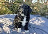 processed/df47fc65-9f16-46bb-acfd-d39f3a761d65/listing/d949380c-704d-4f10-9306-904d7beb48ee/fb8d5ef8-5e98-4588-988e-e9208c79aaac