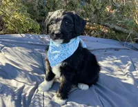 processed/df47fc65-9f16-46bb-acfd-d39f3a761d65/listing/d949380c-704d-4f10-9306-904d7beb48ee/fdfb645f-4a5a-4a09-84cd-d42de6e685e8