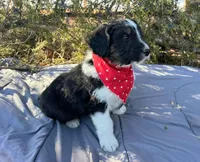 processed/df47fc65-9f16-46bb-acfd-d39f3a761d65/listing/e73540ae-bff9-437a-ba7f-8a9309f93332/287364d8-cb0c-4fab-9b2e-ccbd2d10fbd9