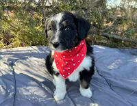 processed/df47fc65-9f16-46bb-acfd-d39f3a761d65/listing/e73540ae-bff9-437a-ba7f-8a9309f93332/78352fc0-296d-4693-b7b5-0341a13a5898