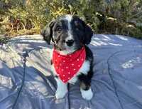 processed/df47fc65-9f16-46bb-acfd-d39f3a761d65/listing/e73540ae-bff9-437a-ba7f-8a9309f93332/813fee64-eca0-4d2a-9b17-a0c0f524d847