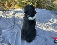 processed/df47fc65-9f16-46bb-acfd-d39f3a761d65/listing/e73540ae-bff9-437a-ba7f-8a9309f93332/b776c31e-d713-4a3c-b976-f4ddf440d517