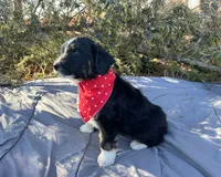 processed/df47fc65-9f16-46bb-acfd-d39f3a761d65/listing/e73540ae-bff9-437a-ba7f-8a9309f93332/d229c9c2-1062-4ca1-8dc5-7ee8cb09cff8