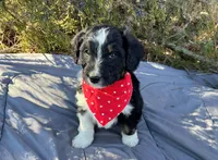 processed/df47fc65-9f16-46bb-acfd-d39f3a761d65/listing/e73540ae-bff9-437a-ba7f-8a9309f93332/fccb7ff0-4901-4de9-bf34-5fcc28f5ed0a