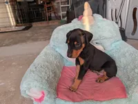 processed/df4cf4b8-b001-4eb0-b786-66f6d5a86172/listing/1d562067-a761-4146-9848-1875b05f3e61/19406f39-d7e0-4911-9f06-3ce5b3391cc5