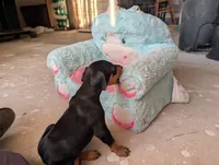 processed/df4cf4b8-b001-4eb0-b786-66f6d5a86172/listing/1d562067-a761-4146-9848-1875b05f3e61/31154edf-4ead-46d8-a429-859544bb1cce