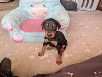 processed/df4cf4b8-b001-4eb0-b786-66f6d5a86172/listing/1d562067-a761-4146-9848-1875b05f3e61/45967053-50a2-4dd6-b103-e2668974f074