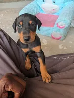 processed/df4cf4b8-b001-4eb0-b786-66f6d5a86172/listing/1d562067-a761-4146-9848-1875b05f3e61/782654c9-c03c-418a-ba8a-c444d31db59a