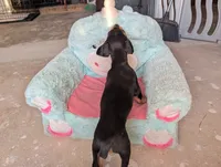 processed/df4cf4b8-b001-4eb0-b786-66f6d5a86172/listing/1d562067-a761-4146-9848-1875b05f3e61/f913058c-92b1-4994-ab6b-4877d481b22f