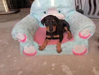 processed/df4cf4b8-b001-4eb0-b786-66f6d5a86172/listing/1d562067-a761-4146-9848-1875b05f3e61/facb6783-3492-4ea1-8ee0-c8be6a082905