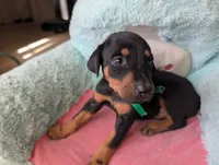 processed/df4cf4b8-b001-4eb0-b786-66f6d5a86172/listing/4f9a6577-3bc7-46f3-9f41-45ca8d19151f/68806feb-3b76-4ff7-9dec-96acee8ffc8f