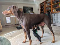 processed/df4cf4b8-b001-4eb0-b786-66f6d5a86172/listing/4f9a6577-3bc7-46f3-9f41-45ca8d19151f/bea08203-e3d3-4b1e-8b52-2eb0ccc72c7a