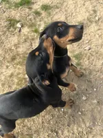 processed/df4cf4b8-b001-4eb0-b786-66f6d5a86172/listing/4f9a6577-3bc7-46f3-9f41-45ca8d19151f/c7d10c22-e2dd-4cc6-a519-ac00e370e240