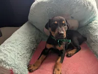 processed/df4cf4b8-b001-4eb0-b786-66f6d5a86172/listing/4f9a6577-3bc7-46f3-9f41-45ca8d19151f/d2e18cbd-7b26-4755-b8a4-2612c2498b8a