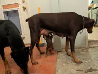 processed/df4cf4b8-b001-4eb0-b786-66f6d5a86172/listing/8fa0d8b6-ab3c-4e17-a7d4-87168a6426f8/598e1bda-4010-4e2e-bf79-f084d2fc9d4e