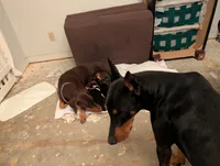 processed/df4cf4b8-b001-4eb0-b786-66f6d5a86172/listing/8fa0d8b6-ab3c-4e17-a7d4-87168a6426f8/7ee5a029-e7a4-4f92-8dab-68ae873faceb