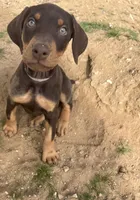 processed/df4cf4b8-b001-4eb0-b786-66f6d5a86172/listing/8fa0d8b6-ab3c-4e17-a7d4-87168a6426f8/8f1e5fe8-3b75-443d-a825-1417416519df