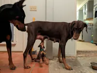 processed/df4cf4b8-b001-4eb0-b786-66f6d5a86172/listing/8fa0d8b6-ab3c-4e17-a7d4-87168a6426f8/90ebb004-dc0e-4f99-8f2b-67590ff8c262