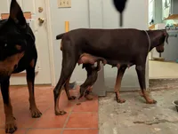 processed/df4cf4b8-b001-4eb0-b786-66f6d5a86172/listing/8fa0d8b6-ab3c-4e17-a7d4-87168a6426f8/b1da9423-28a7-456c-9d5a-968481c2338f