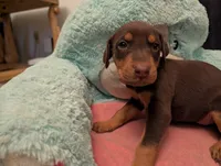 processed/df4cf4b8-b001-4eb0-b786-66f6d5a86172/listing/8fa0d8b6-ab3c-4e17-a7d4-87168a6426f8/c0a5b05d-5c7b-40d2-bd7c-db8468812fd8