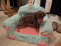 processed/df4cf4b8-b001-4eb0-b786-66f6d5a86172/listing/8fa0d8b6-ab3c-4e17-a7d4-87168a6426f8/e924c1d2-f283-4dc4-8416-a0f642c139a1