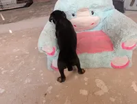 processed/df4cf4b8-b001-4eb0-b786-66f6d5a86172/listing/9e961cd1-195d-4901-9c22-13ba22a719be/12a7c321-f6b4-4f69-984d-7c207fe47fcb