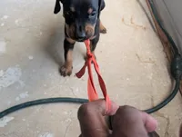 processed/df4cf4b8-b001-4eb0-b786-66f6d5a86172/listing/9e961cd1-195d-4901-9c22-13ba22a719be/230a21e5-e916-456d-9a1a-f8308134bedc