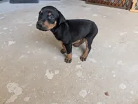 processed/df4cf4b8-b001-4eb0-b786-66f6d5a86172/listing/9e961cd1-195d-4901-9c22-13ba22a719be/3264ae2f-bf1f-47a8-9cab-75816d3ef924