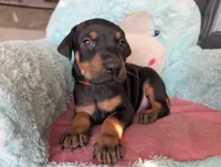 processed/df4cf4b8-b001-4eb0-b786-66f6d5a86172/listing/9e961cd1-195d-4901-9c22-13ba22a719be/43c333e2-5f23-4d56-85bc-333405765c69