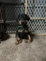 processed/df4cf4b8-b001-4eb0-b786-66f6d5a86172/listing/9e961cd1-195d-4901-9c22-13ba22a719be/5b2506bd-00f6-49ea-932b-77a1b426c3f6