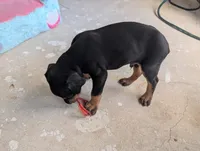 processed/df4cf4b8-b001-4eb0-b786-66f6d5a86172/listing/9e961cd1-195d-4901-9c22-13ba22a719be/628e4047-67a5-43c9-b7ff-dccb4aa8b1aa