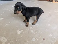 processed/df4cf4b8-b001-4eb0-b786-66f6d5a86172/listing/9e961cd1-195d-4901-9c22-13ba22a719be/ad9d60ec-eb0a-4de1-acac-6e14cec0da19