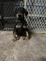 processed/df4cf4b8-b001-4eb0-b786-66f6d5a86172/listing/9e961cd1-195d-4901-9c22-13ba22a719be/c394ba14-3738-42cb-af79-e902de3cc4c5