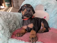 processed/df4cf4b8-b001-4eb0-b786-66f6d5a86172/listing/9e961cd1-195d-4901-9c22-13ba22a719be/d71ce3e5-ce08-4d61-9f7e-60caacbc4a9f