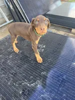 processed/df4cf4b8-b001-4eb0-b786-66f6d5a86172/listing/a57548fd-3177-4f9d-bcb2-190289522435/7d63eda7-929c-4b90-b9eb-0e042c0202d2