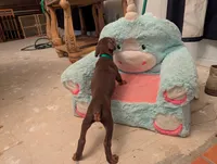 processed/df4cf4b8-b001-4eb0-b786-66f6d5a86172/listing/a57548fd-3177-4f9d-bcb2-190289522435/89c76ffe-be3c-40e0-8c2c-bbce7f45f516