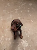 processed/df4cf4b8-b001-4eb0-b786-66f6d5a86172/listing/a57548fd-3177-4f9d-bcb2-190289522435/8d7c0b96-b310-4824-812b-9ccc0072169f