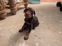 processed/df4cf4b8-b001-4eb0-b786-66f6d5a86172/listing/a57548fd-3177-4f9d-bcb2-190289522435/8e3d919c-a597-451b-bf66-bd6737d06d03