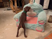 processed/df4cf4b8-b001-4eb0-b786-66f6d5a86172/listing/a57548fd-3177-4f9d-bcb2-190289522435/b3a61531-0c7c-45c5-8b31-630a76bb847c