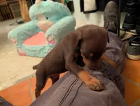 processed/df4cf4b8-b001-4eb0-b786-66f6d5a86172/listing/a57548fd-3177-4f9d-bcb2-190289522435/b74c614b-d0d9-4b7c-a60d-302b48d9cf29